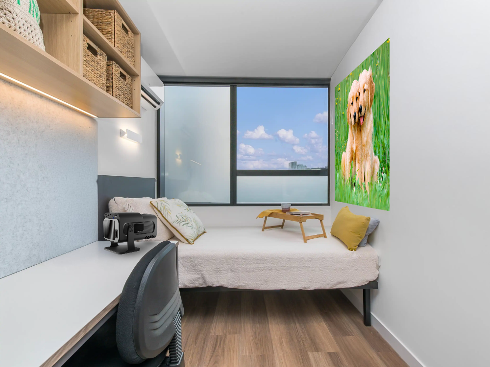 The Spotlight Projector Pro In a Room